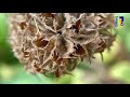 Natuur en Zo TV - tuintip herfstbeplanting