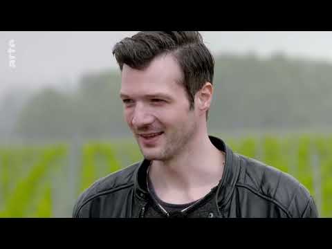 X:enius: Wein ohne Chemie? - Anbaumethoden im Test Doku (2019)