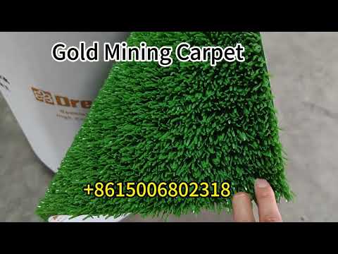 Dreamturf Gold Carpet