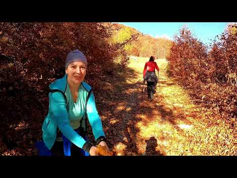 Muntele Vulcan - Cotoncu toamna 2021