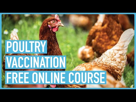 Profitable Pig Farming and Best Practices for success Course Outline