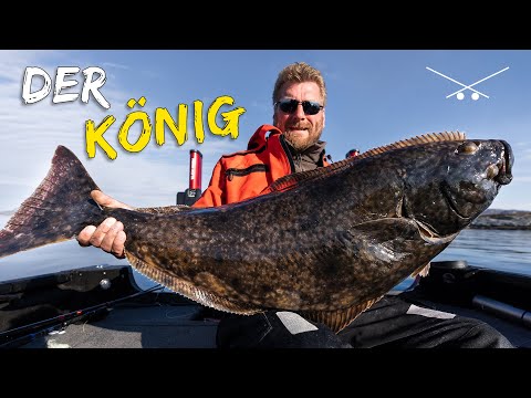 Halibut Fishing in Norway + Catch & Cook