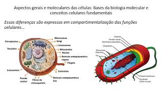 Introdução a Biologia Molecular