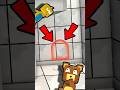 Rahasia Yang Nggak Ada Yang Tahu Di SBA Shorts Super Bear Adventure