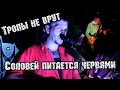 Тропы не врут - Соловей питается червями | МеждоМедиа Групп 