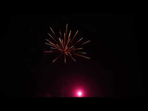 42   16 Shots red strobe willow