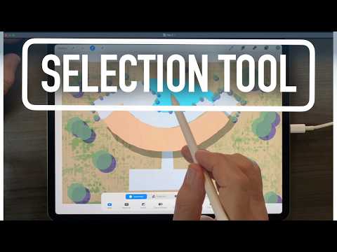 Master the Selection Tool in Procreate