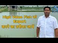 मछली को Export कैसे करें A Guide To High Value Fish Exports