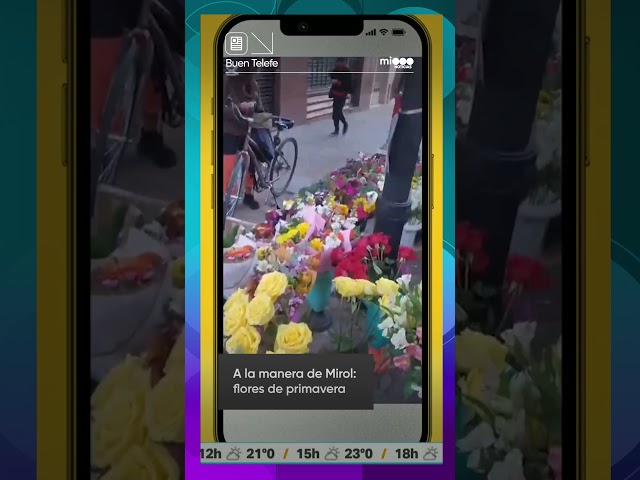Vídeo relacionado con REGALAUNAFLOR | Ramo de flores naturales a domicilio | Entrega puntual en 24 horas de Lunes a Sábado | Con tarjeta de dedicatoria | Primavera