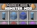 Minecraft HAMSTER MOD / PLAY WITH CUTE ADORABLE HAMSTERS!! Minecraft