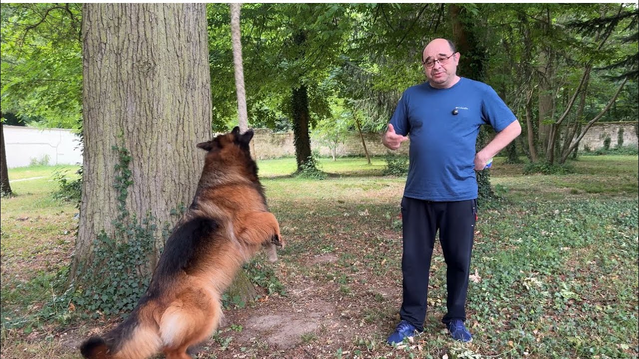 BOLOJAN SAU NIMIC. Peste cinci ani ne vom aminti de asta