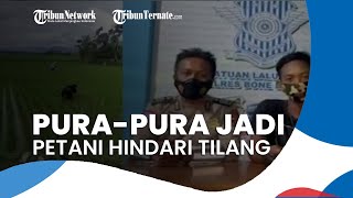 Viral Video 2 Pemotor Tak Pakai Helm Pura-pura Jadi Petani saat Hindari Tilang Polisi, Ini Ceritanya
