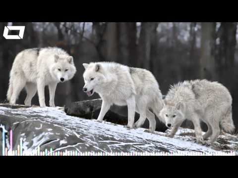 Brillz (Ft. ETC! ETC!) - Old School (Prince Fox x YOOK!E Remix)