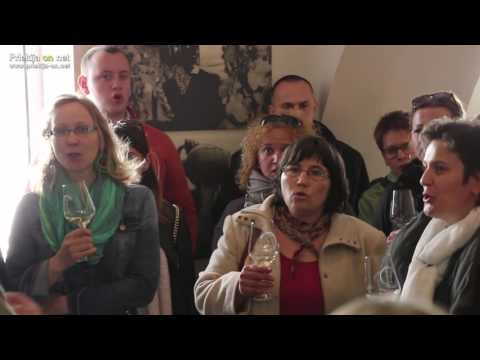 Zbor Alla Breve v Enoteki Ljutomer