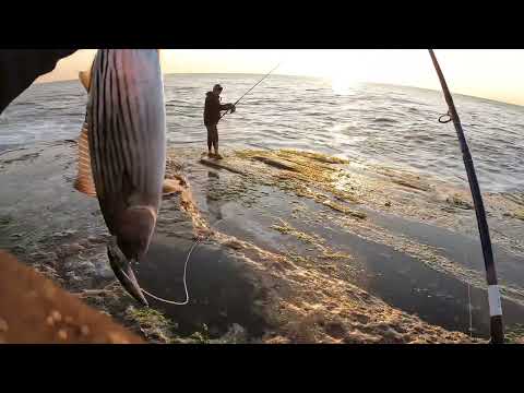 Good things come in pairs 😎🎣👍