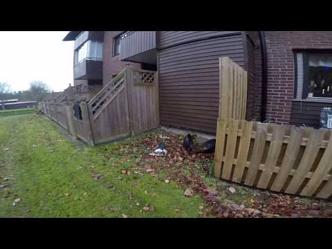 Hylses Blekingeturné - SKOGSSIDAN Lindvägen KALLINGE #2 (med August Hylse) - 171223 - GoPro5