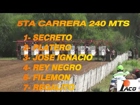 PLATERO DON NICO BAÑADO DE SOTO 13 03 2022