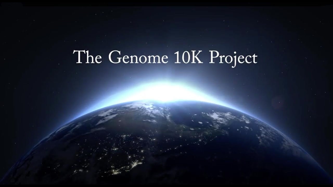 The Genome 10K Project