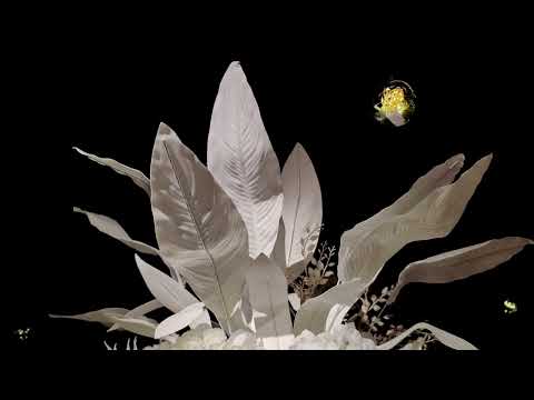 Nunta de Proba - Paduriel Regale 2022