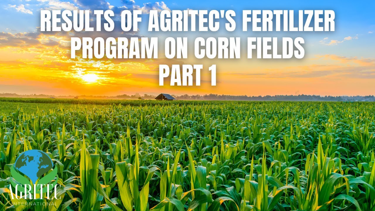 Results of AgriTec's fertilizer program on this corn field | Pt. 1