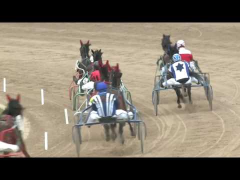 2017.06.10. 5. futam - CINNIA HENDIKEP