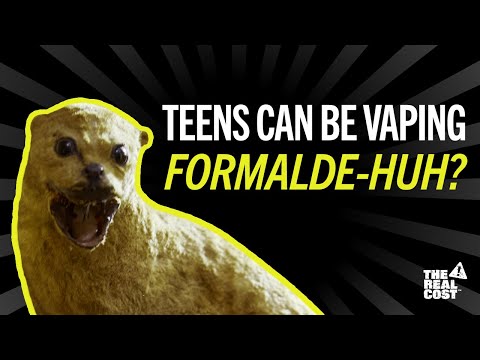 Take it from a taxidermied critter: Vaping formaldehyde is no good | The Real Cost