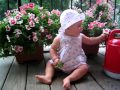 Video Abigail Eating Flowers 111 1161 Avi