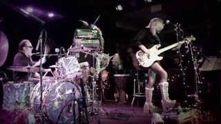 The Mermen - Pull of the Moon (Live 2016)