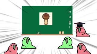 あつ森で誰もが思ったこと　TINTINparrot