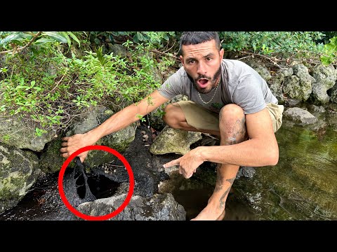 FOUND CREATURES LIVING IN BLACK HOLE!