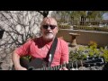 Acoustic Bruce cover of  Buffalo by Mason Proffit