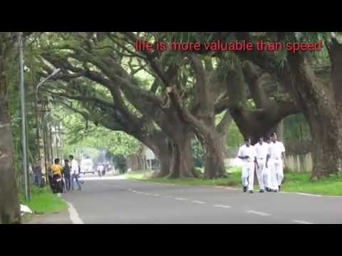 Pulsar 220 accident in kerala