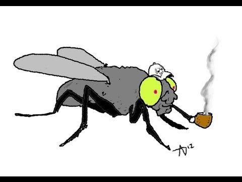 ADz Pipes WC 13 - Gratitude Aint Easy!