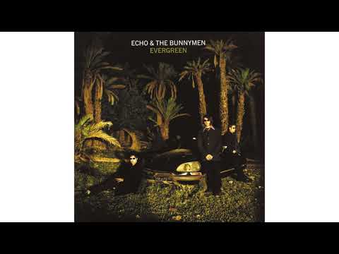 Forgiven - Echo and The Bunnymen