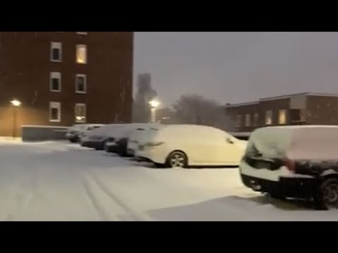 Väderfenomen över Sverige • Inträffar oftast i januari med ett par års mellanrum