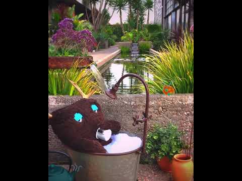 Swardy - Palomino [official audio]