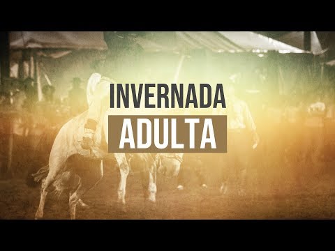 CCN Sentinela do Rio Grande 6ª RT - Adulta - 41º Rodeio Nacional de Campo Bom