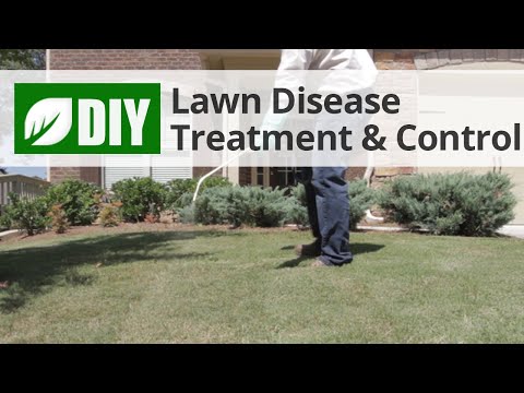  Lawn Disease Treatment and Control Video 