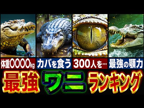 IUCN分類における絶滅の危険性を示す図。