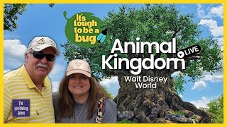 🔴Live: Animal Kingdom Walt Disney World!
