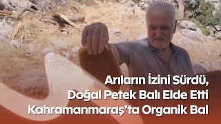 Kahramanmaraş’ta Doğadan Bal Toplayarak Aile Ekonomisine Katkı Sağlıyo