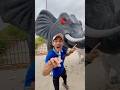 THIS Giant Elephant Crying