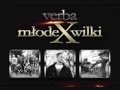 Verba - Młode Wilki X ( Młode Wilki 10 - 2013 2014 ...