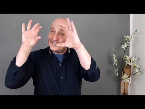 Die Steffen Hertlein Show Nr.: 6 - Robbie Williams, Maddabrasska & Superphonix