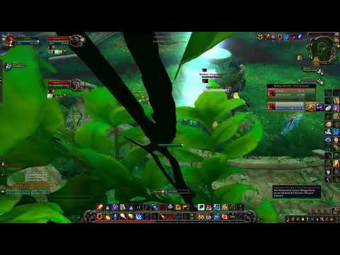 Fire Mage/ Feral 2v2 SL PvP