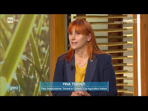 RAI 3 GEO - Viticoltura e imprenditoria al femminile. Con Pina Terenzi, presidente Donne in Campo-Cia