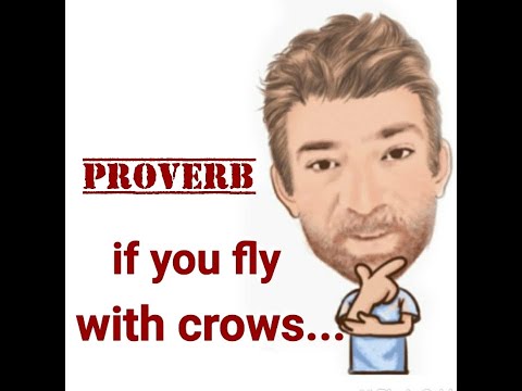 English Tutor Nick P Proverbs (410) If You Fly With the Crows You Get Shot With the Crows