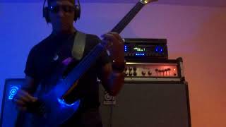 SAVATAGE “She’s Only Rock N Roll” (bass cover)