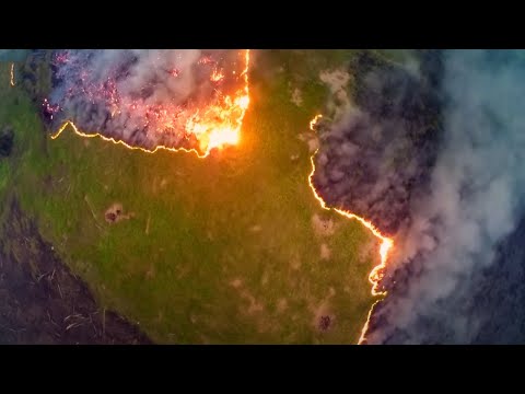 The Tragedy Of Deforestation | Climate Change: The Facts | BBC Earth