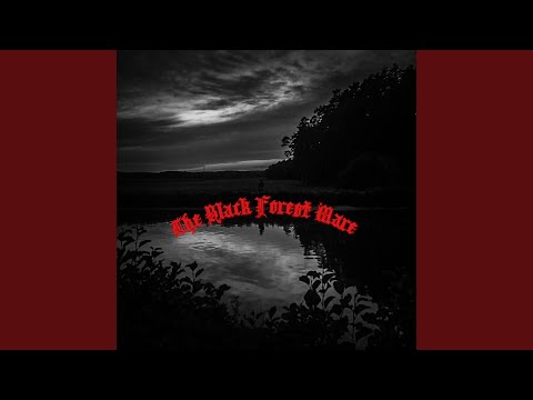 Would I Choose the Wild?